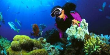 best Scuba Diving sites in Sri lanka