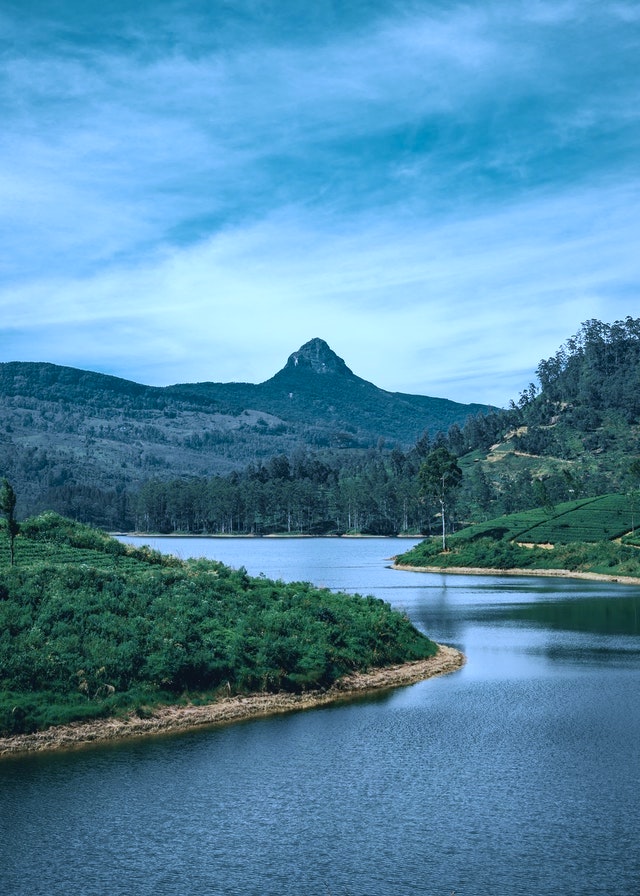 Adam's peak